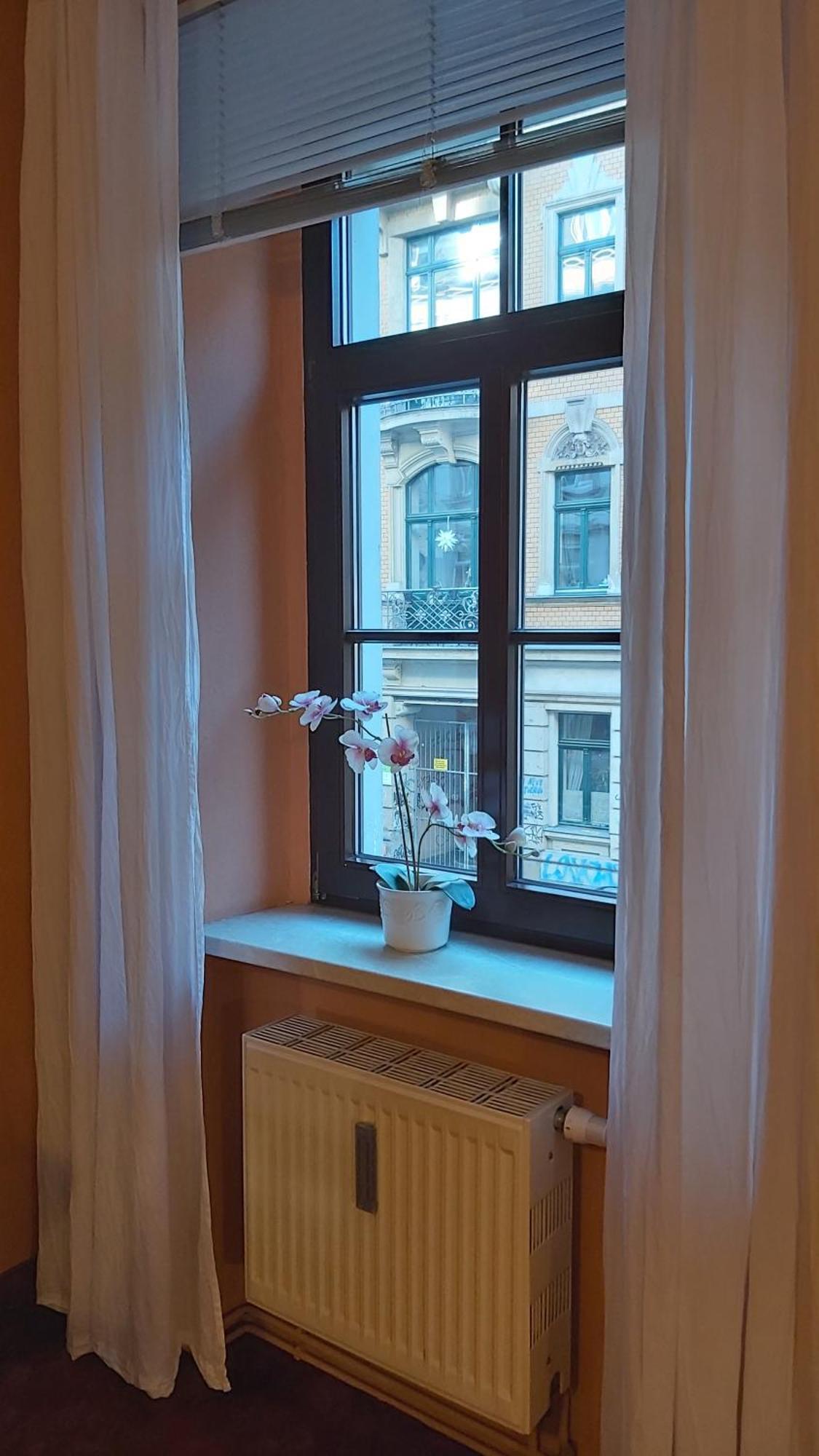 City-Ferienwohnungen-Dresden - Zentral Gelegen Im Haus Louisenstrasse 11 - Dresden-Neustadt Экстерьер фото