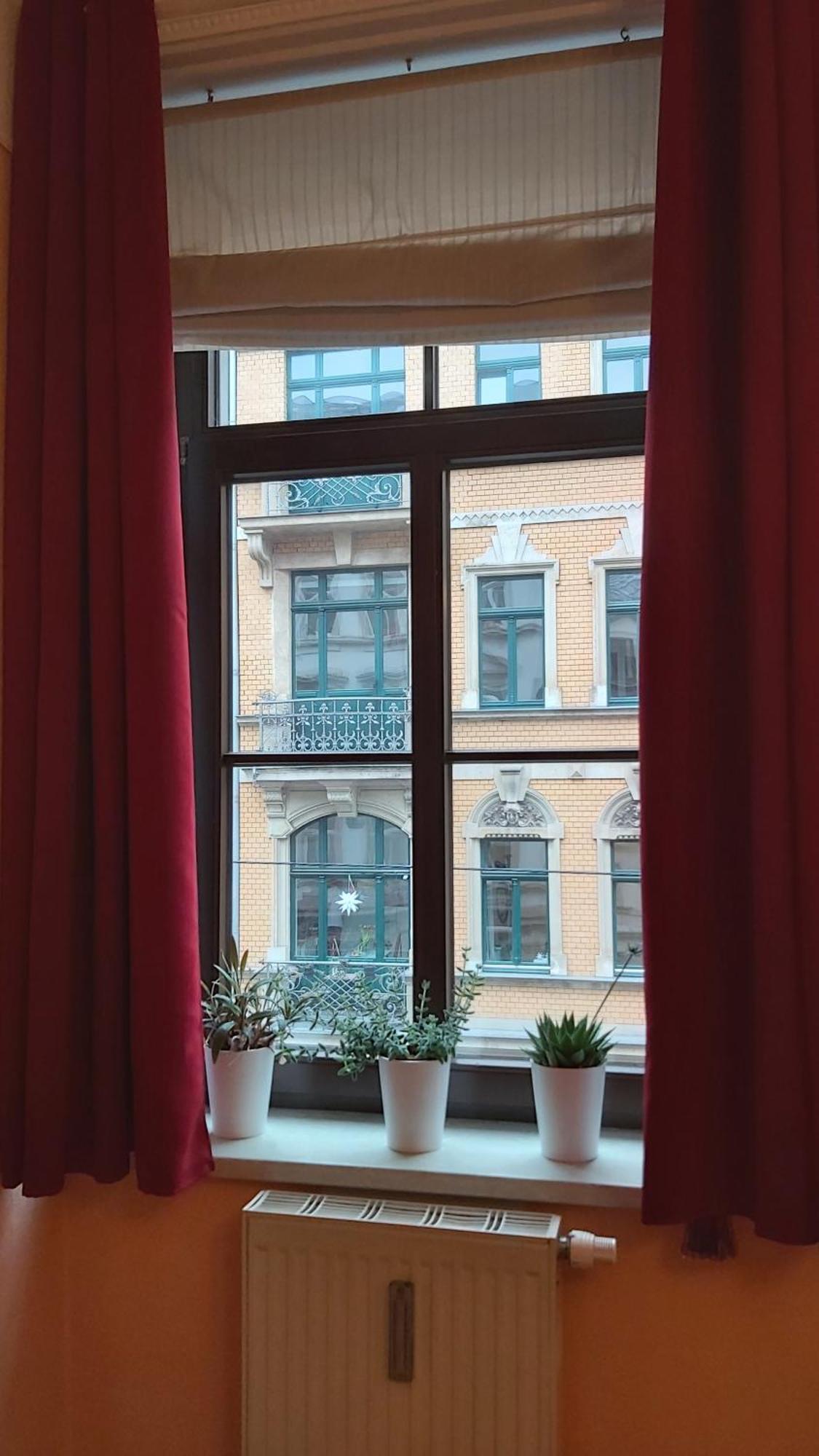City-Ferienwohnungen-Dresden - Zentral Gelegen Im Haus Louisenstrasse 11 - Dresden-Neustadt Экстерьер фото