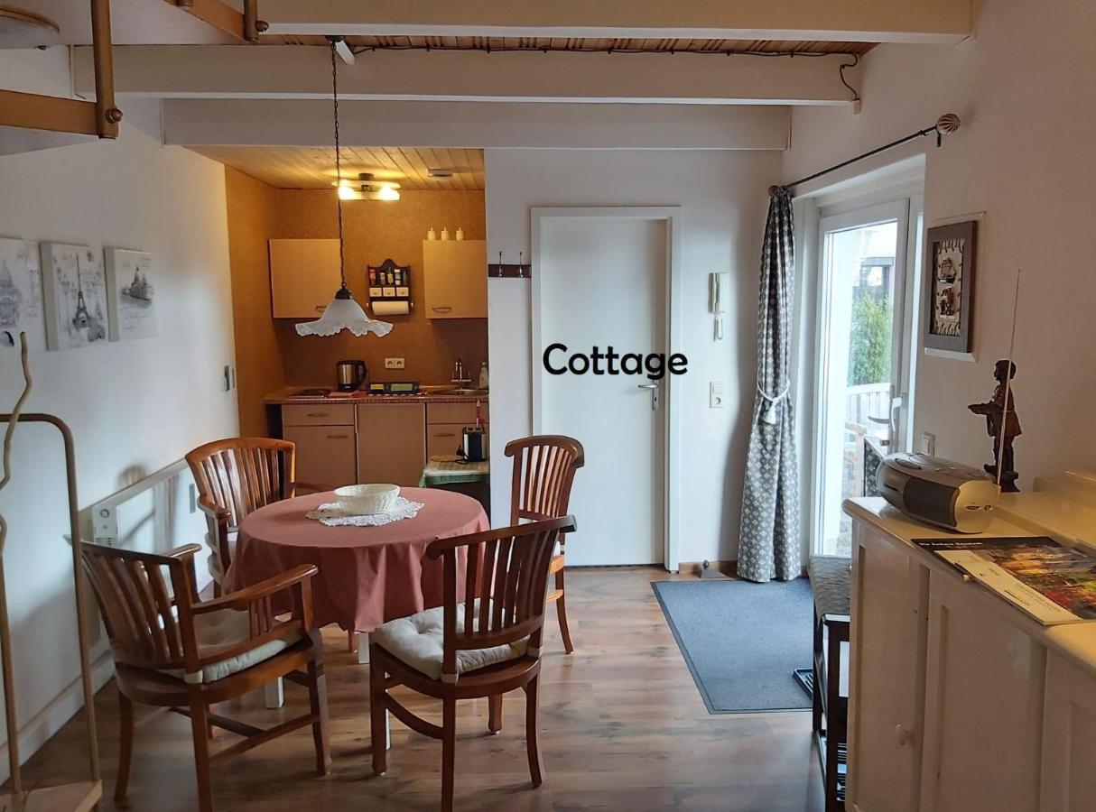 City-Ferienwohnungen-Dresden - Zentral Gelegen Im Haus Louisenstrasse 11 - Dresden-Neustadt Экстерьер фото